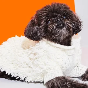 Hairy Wool Blend Dog Sweater in Ivory (FINAL SALE)