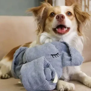 Trunk or Treat Elephant Snuffle Dog Toy