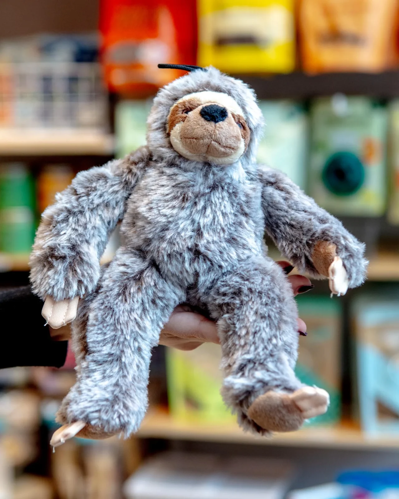 Sonny the Sloth Plush Dog Toy