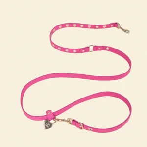 You Mean the World To Me Dog Leash in Peony