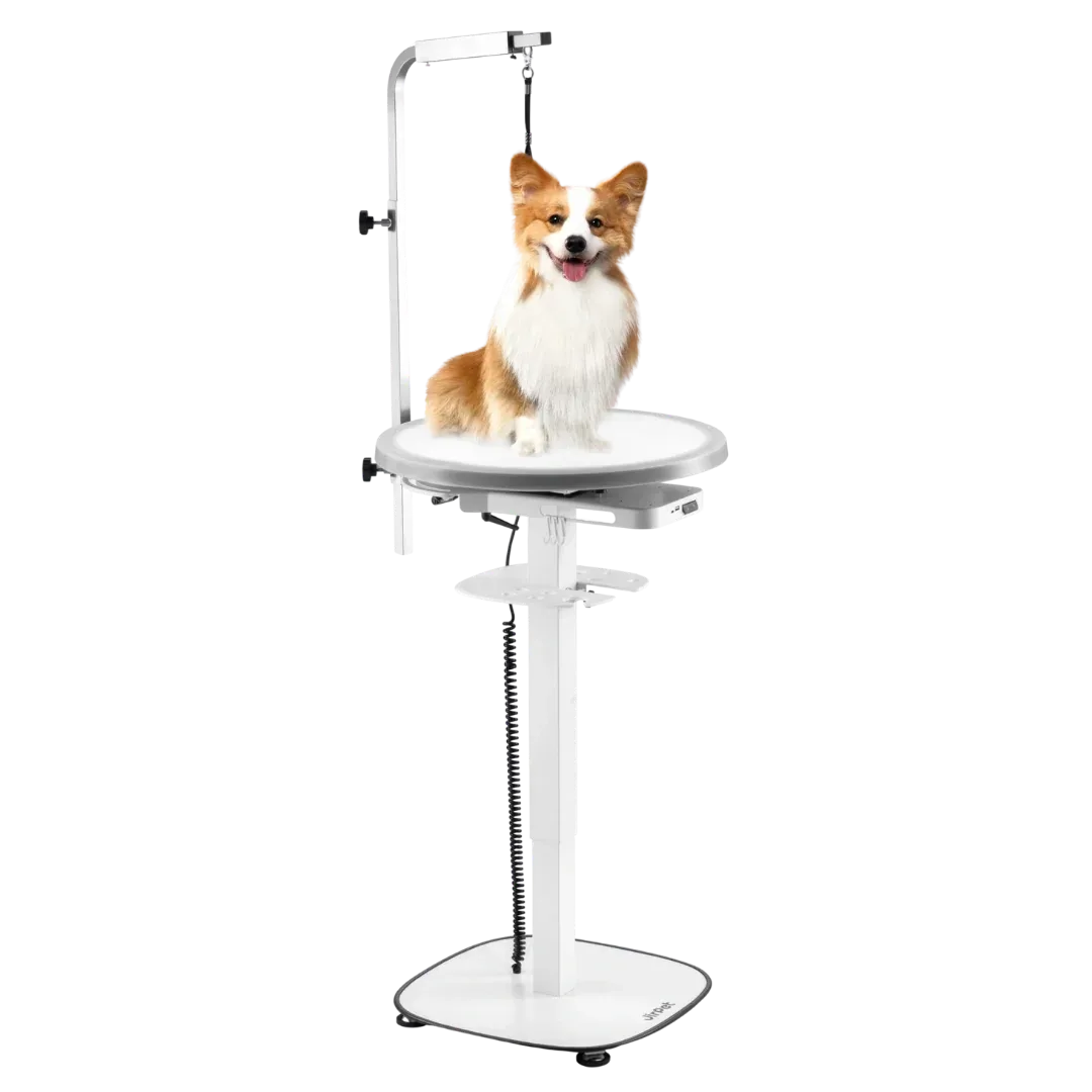 Radiant360 Rotating 360° Electric Grooming Table with LED Light by Jirpet - Image 2
