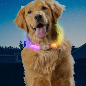NITEHOWL® MAX Rechargeable Led Safety Dog Necklace