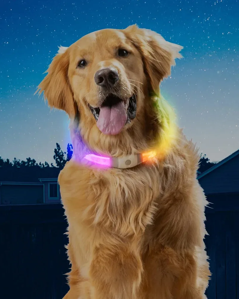 NITEHOWL® MAX Rechargeable Led Safety Dog Necklace