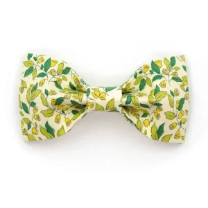 The Carol Dog Bowtie (FINAL SALE)