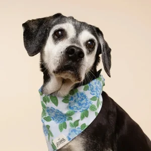 Sconset Floral Dog Bandana (FINAL SALE)