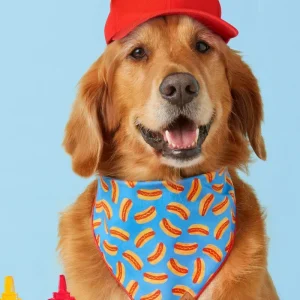 Hot Diggity Dog Tie-On Bandana