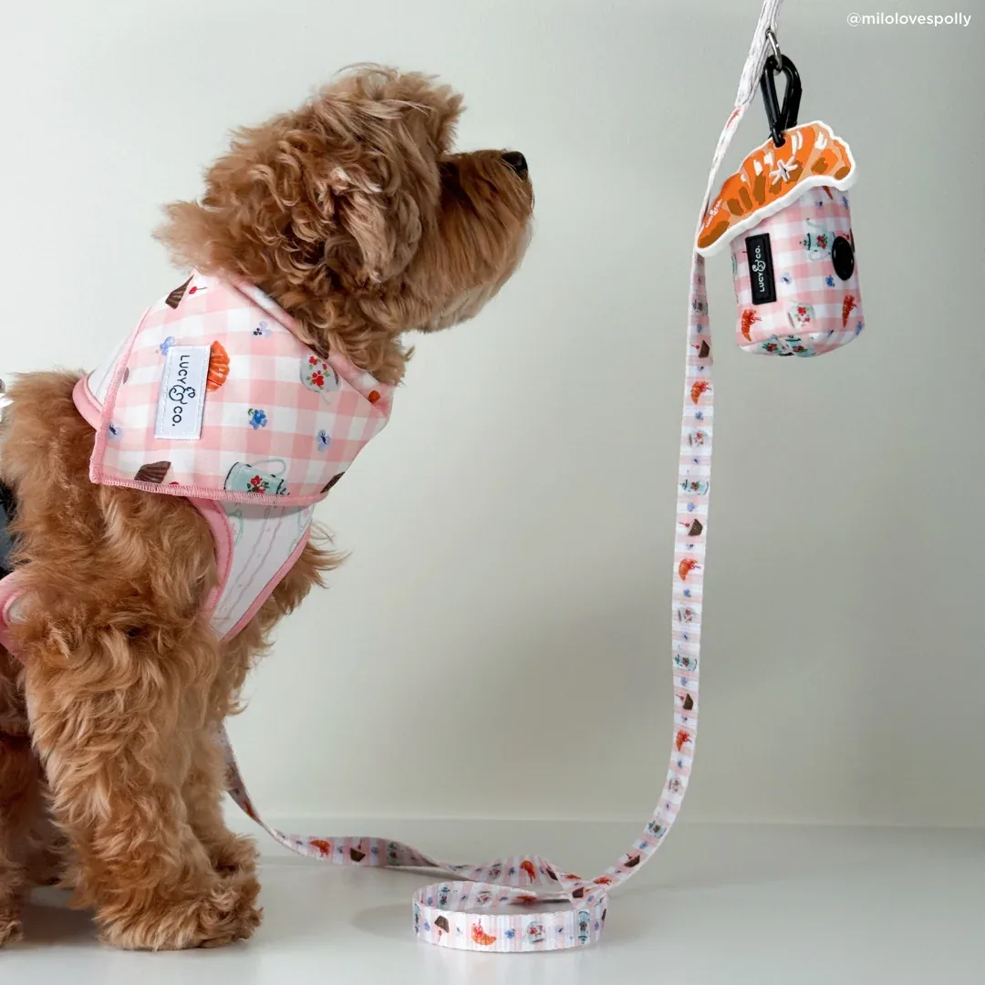 Sipping Slowly Leash - Image 2