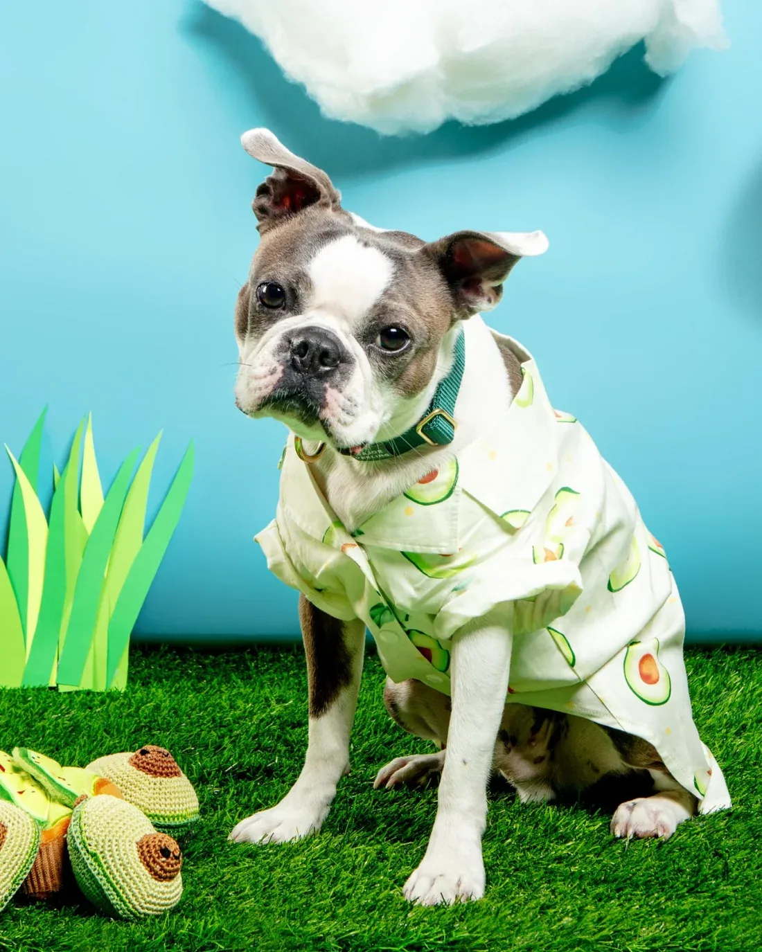 Avocado Button Dog Shirt for Dogs (FINAL SALE)