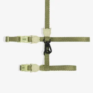Cat Harness with Leash in Moss