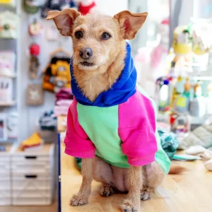 Colorblock Dog Hoodie in Bubblegum + Mint (FINAL SALE)