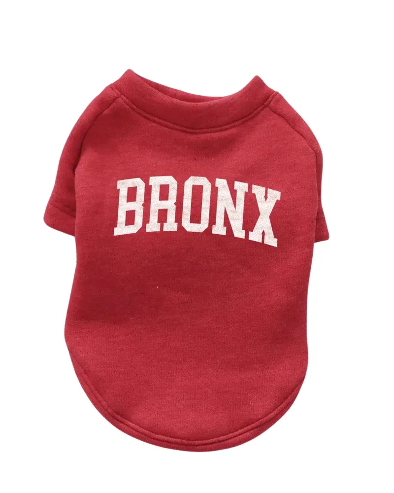 Bronx Dog Sweatshirt in Red - Image 2