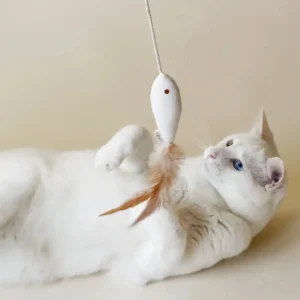 Golden Fish Catnip Toy