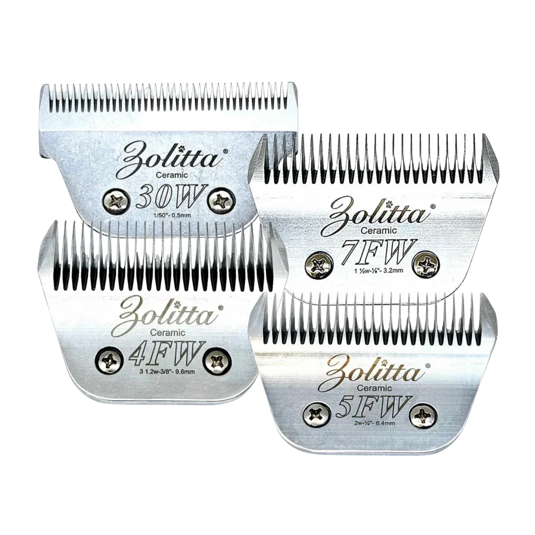 Best-Selling Wide Ceramic Blades Set of 4 by Zolitta - Image 2
