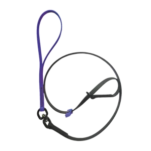 Swivel Slip Lead Violet by Alpha Grooming