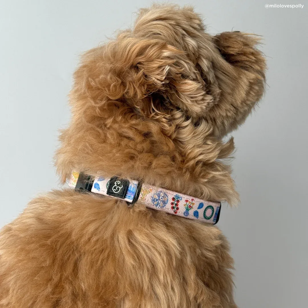Dolce Vita Collar - Image 2