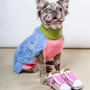 Golden Pooch Sneaker Plush Dog Toy in Pink