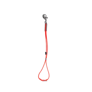 AXL loop in orange by Alpha Grooming