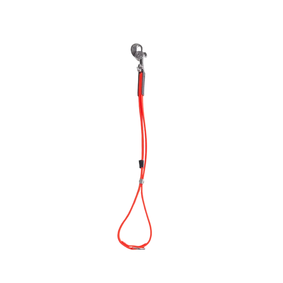 AXL loop in orange by Alpha Grooming