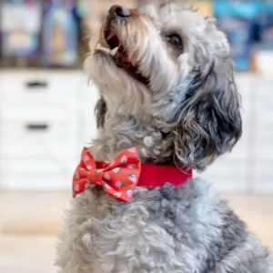 Berry Sweet Dog Bow Tie (Made in the USA)