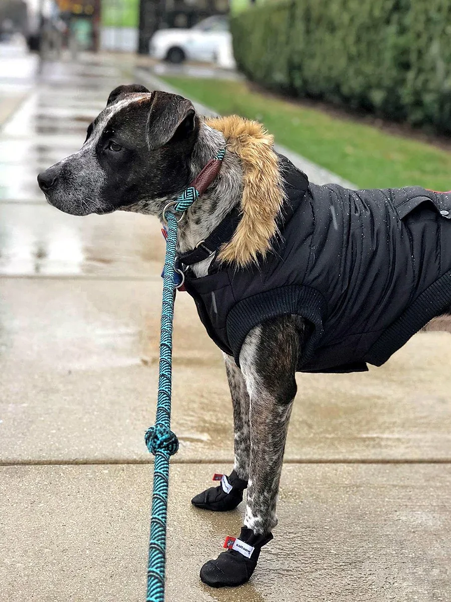 SaltSox Fleece-Lined Dog Booties in Blizzard Black (Made in the USA) - Image 2