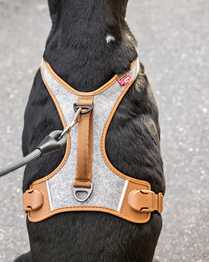Alpine Belka Dog Harness (for Medium to Large Dogs) - Image 2