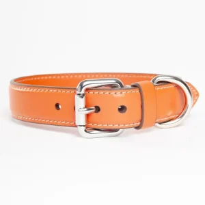 Leather Dog Collar in Orange (Made in Italy)