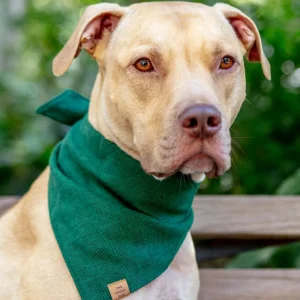 Evergreen Herringbone Dog Bandana