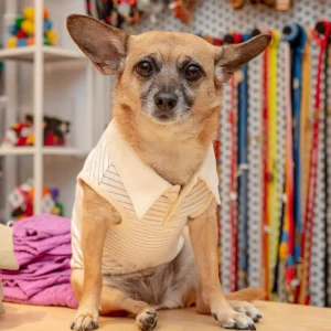 Striped Sleeveless Collared Shirt for Dogs