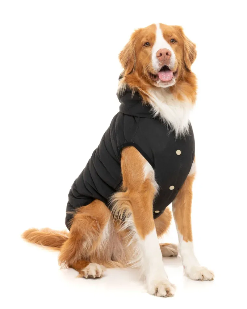 Black Aspen Puffer Dog Jacket <> - Image 2
