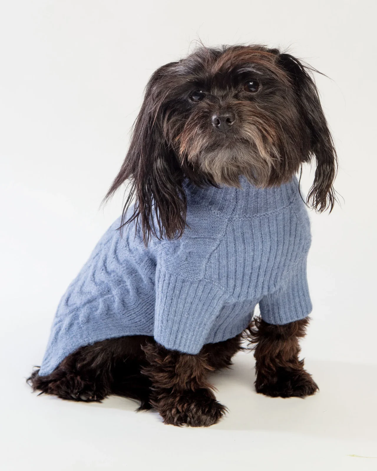 Fuzzy Knit Dog Turtleneck Sweater in Moonstone Blue <> - Image 2