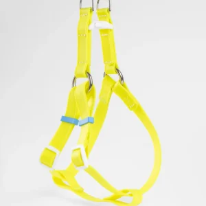 A Walk in the Park Waterproof Dog Harness in Neon Yellow (Made in the USA)