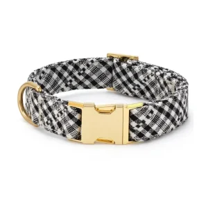 HTH x TFD Soho Black Dog Collar (FINAL SALE)