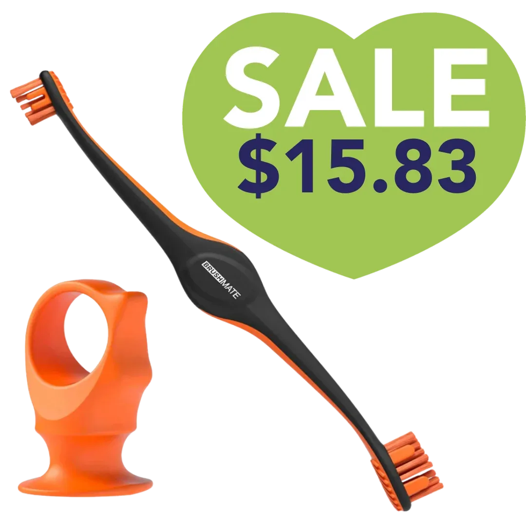 Orange Brushmate Premium Toothbrush with Biteblock Medium by Paw Ready