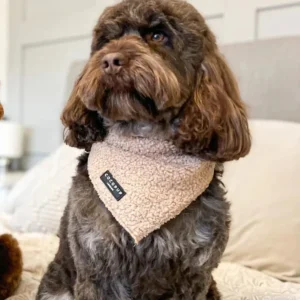 Teddy Dog Bandana (20x20") FINAL SALE