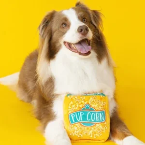Pupcorn Crinkle + Squeak Plush Dog Toy (FINAL SALE)