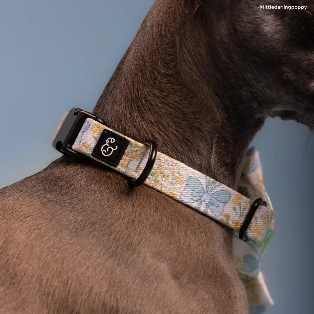 Sunshine and Daffodils Collar - Image 2