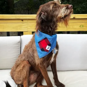 Upcycled Buffalo Plaid Treat Pocket Dog Bandana (Made in the USA)