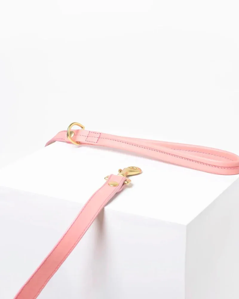 Sweet Leather Dog Leash (Made in Guatemala) (FINAL SALE) - Image 2