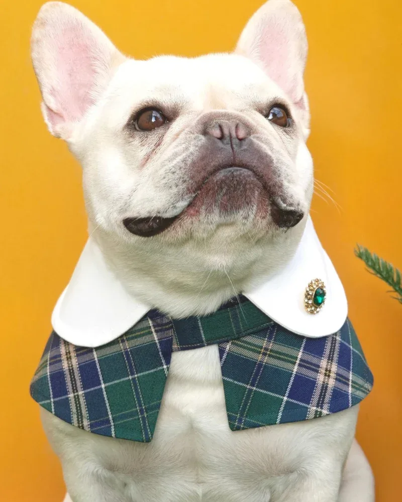 Evelyn - Handmade Green Plaid Cape Dog Accessory - Image 2