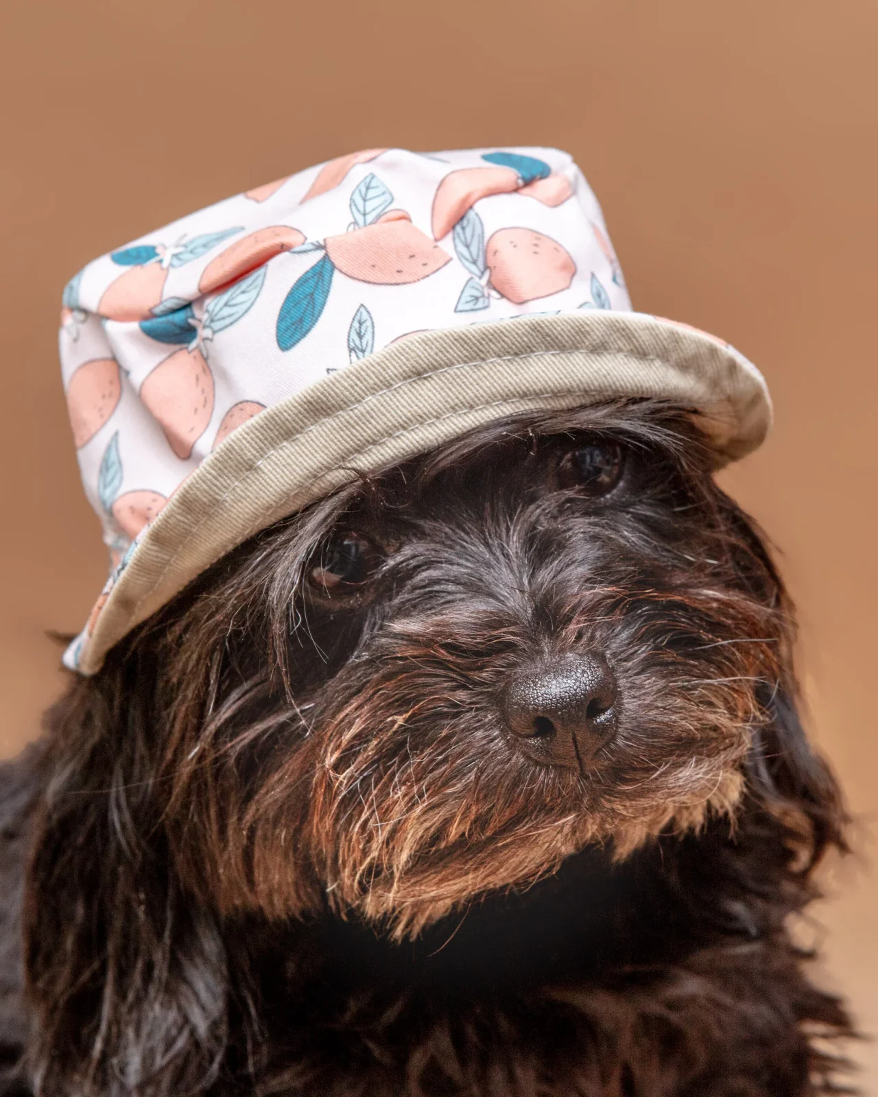 Pink Lemonade Bucket Hat for Dogs <> - Image 2