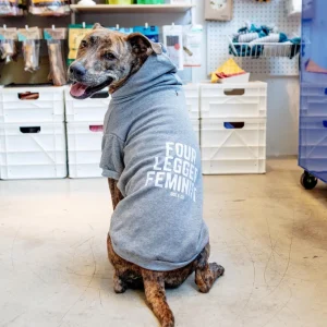 *Four Legged Feminist* Graphic Dog Hoodie (Proceeds Benefit the ACLU)