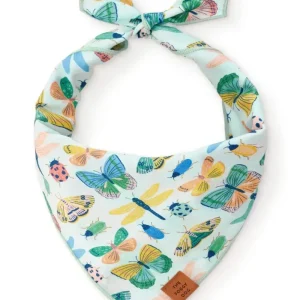 Cute as a Bug Spring Dog Bandana