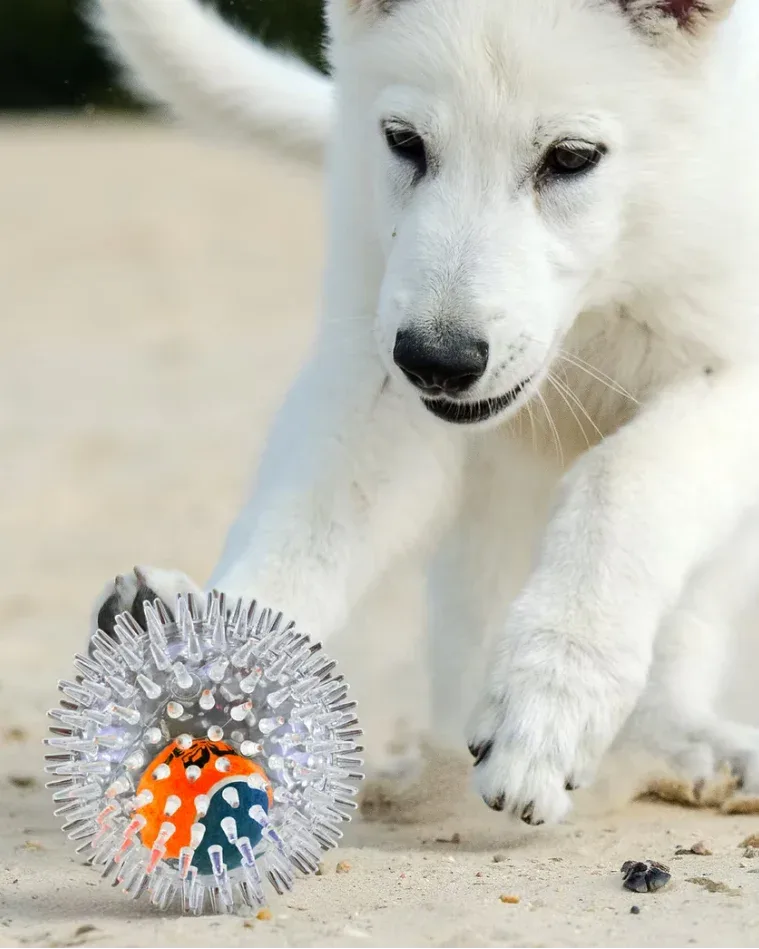 BiteTek™ Gorilla Ball Duo Dog Toy (4") - Image 2