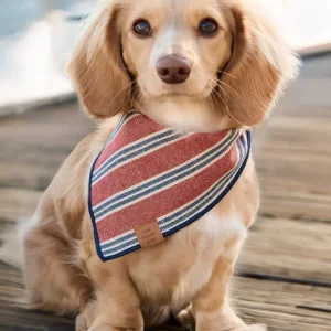 Nantucket Stripe Dog Bandana (Made in the USA)