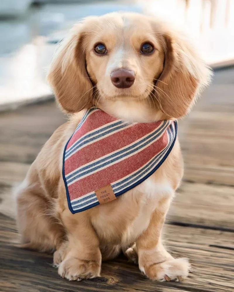 Nantucket Stripe Dog Bandana (Made in the USA)