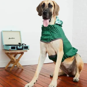 Reversible Waterproof Dog Raincoat in Green