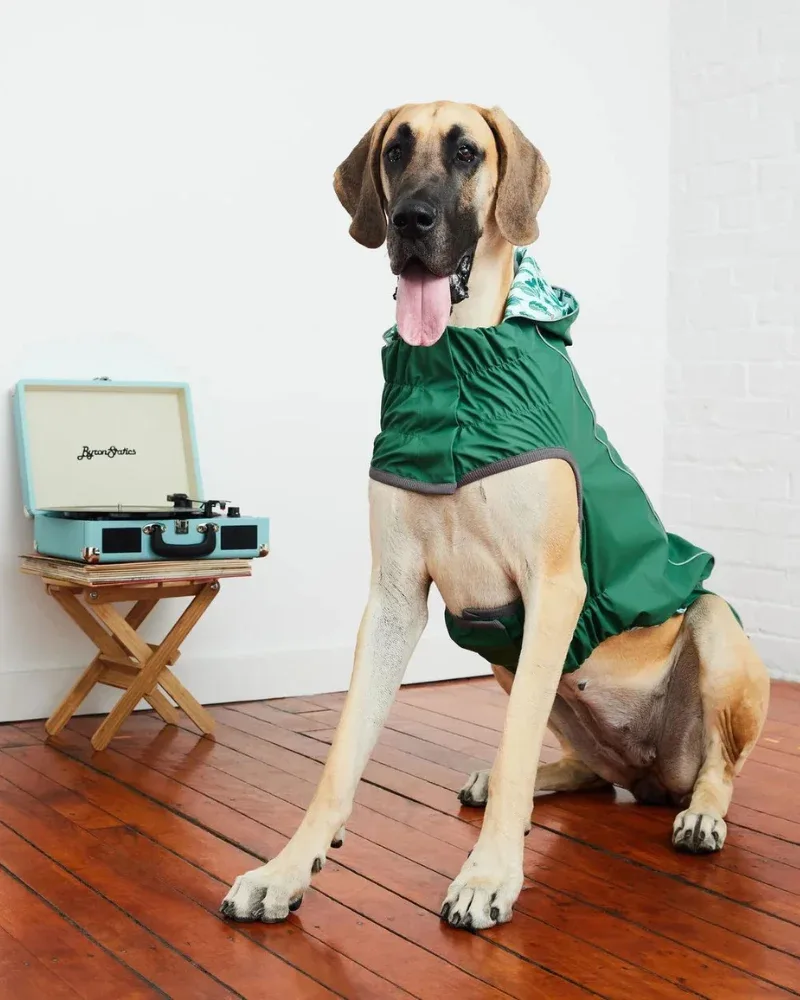 Reversible Waterproof Dog Raincoat in Green