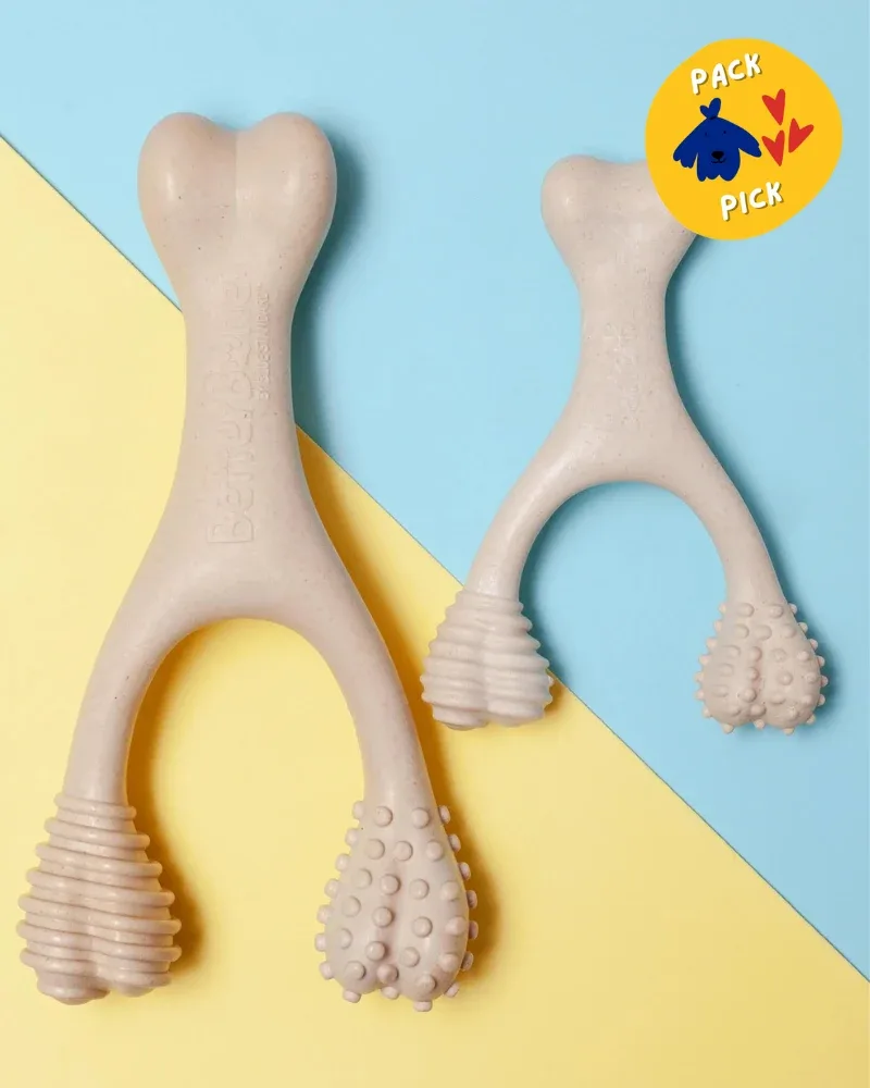 Natural Hypoallergenic Eco-Friendly Dog Chew Toy (Beef Flavor - Soft)