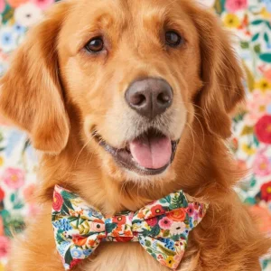 Rifle Paper Co. x TFD Garden Party Dog Bow Tie (Made in the USA) (FINAL SALE)