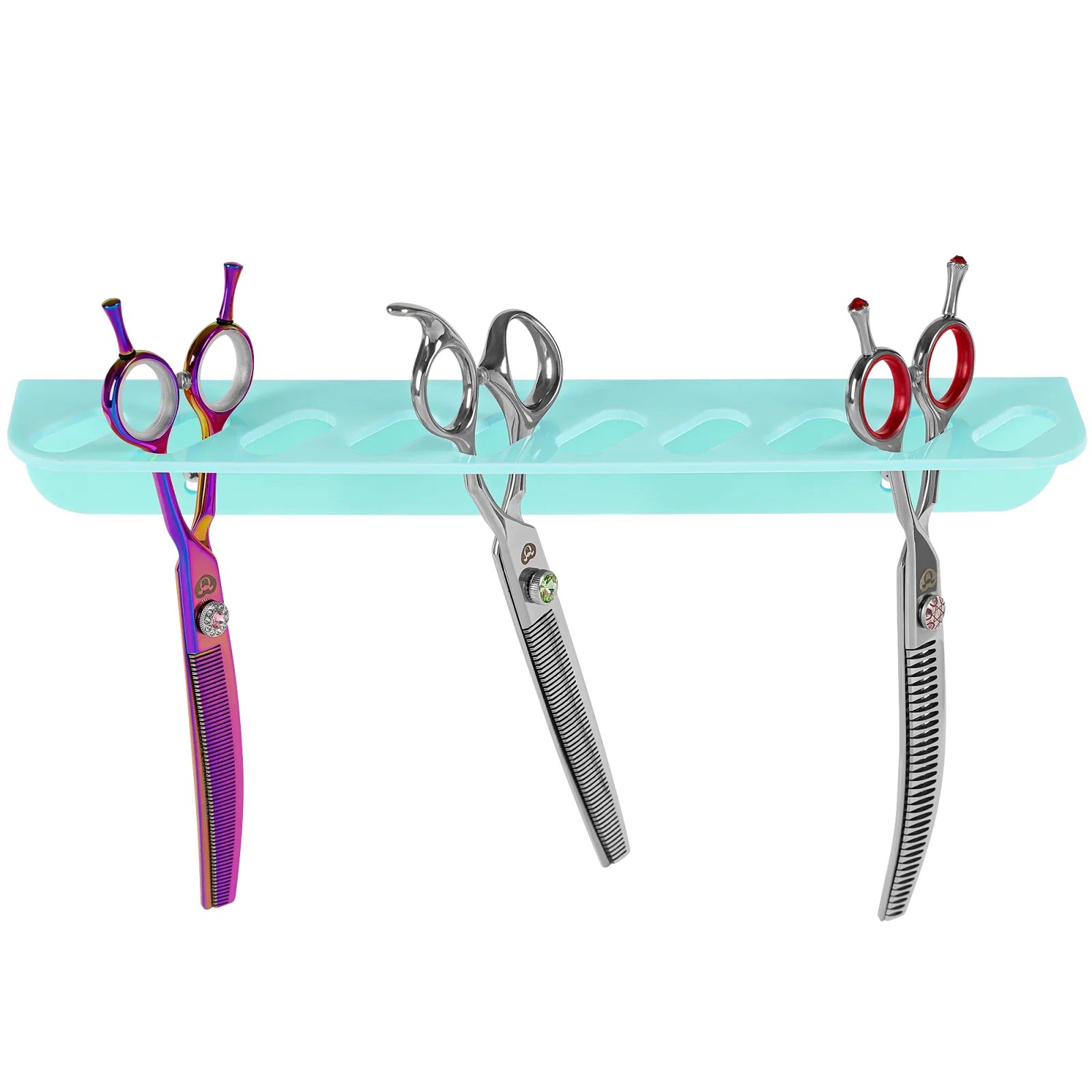 Acrylic 10 Scissor Holder Wall Mount Aqua by PetStore.Direct